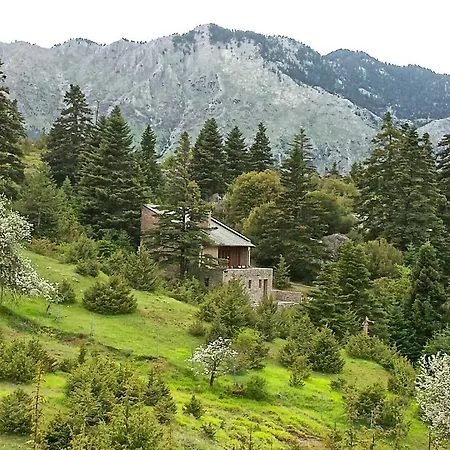 Stodasos